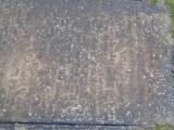 image of grave number 947367